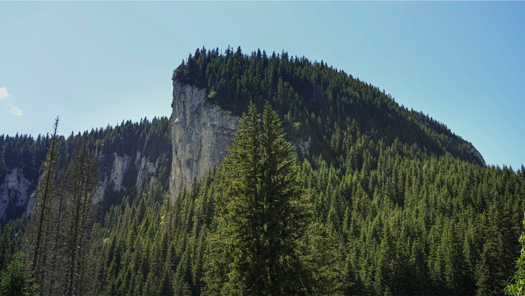 Forested limestone cliff beneath a clear sky