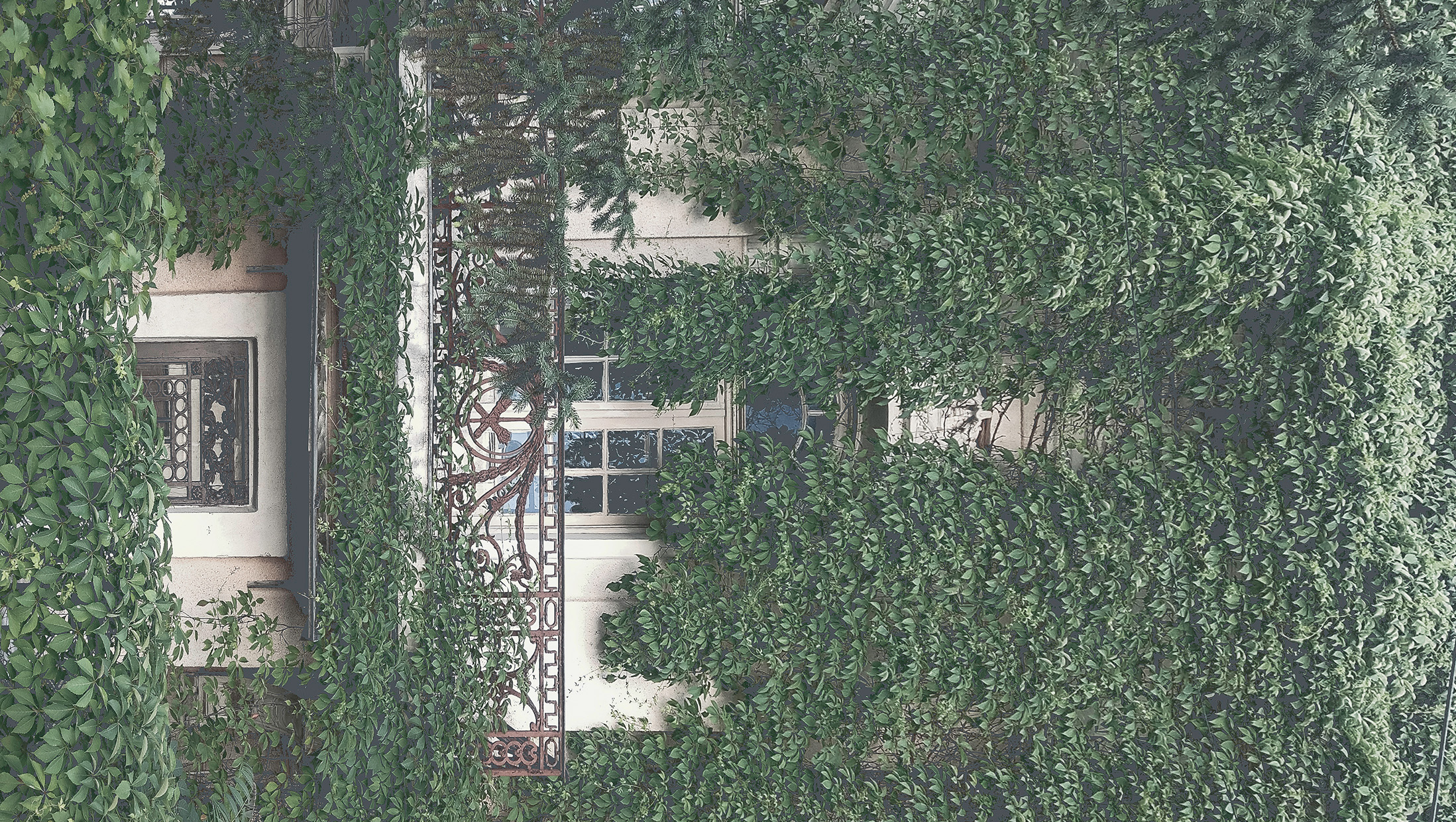 House facade almost hidden by dense ivy